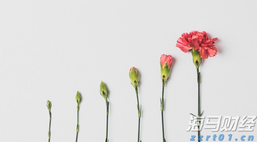好少年当奋进，正青春向未来！2025年度珠海“新时代好少年”学习宣传活动举行